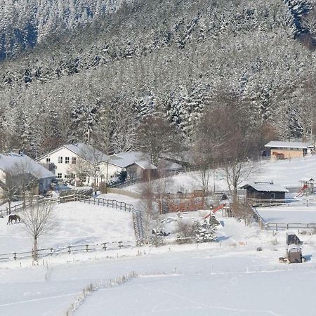 Duempelhof Ferienwohnungen Olsberg Esterno foto