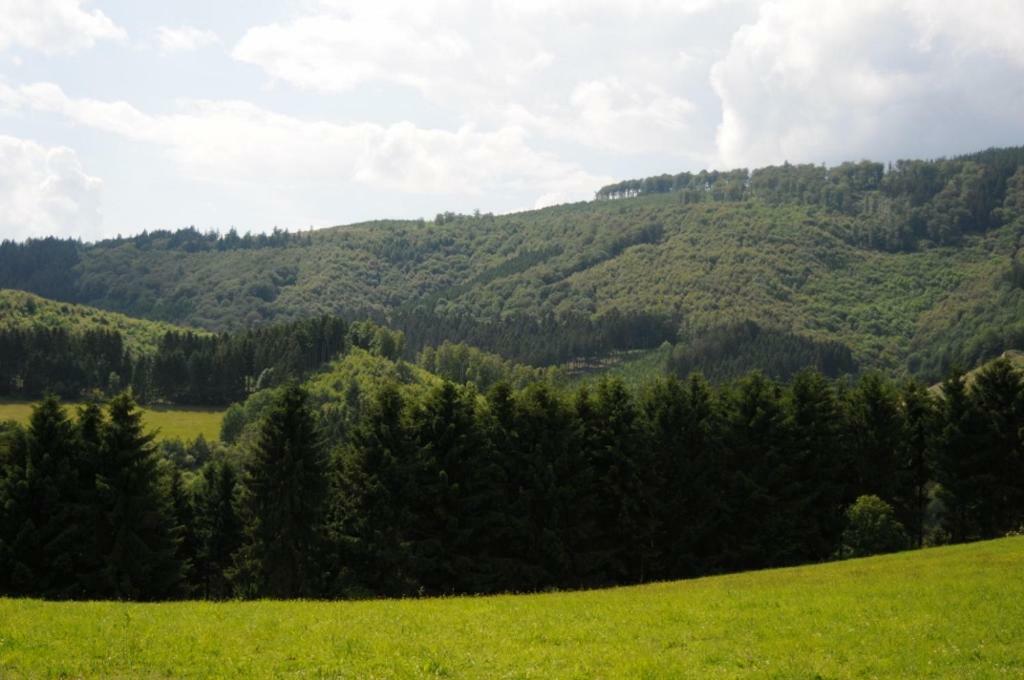 Duempelhof Ferienwohnungen Olsberg Esterno foto