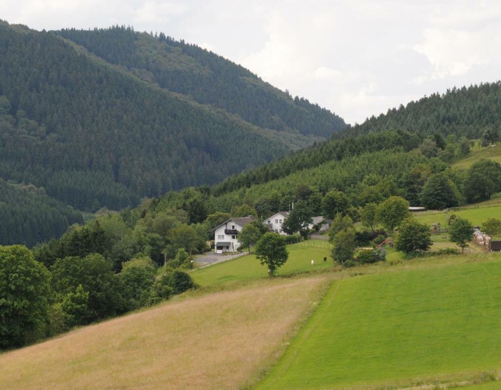 Duempelhof Ferienwohnungen Olsberg Esterno foto