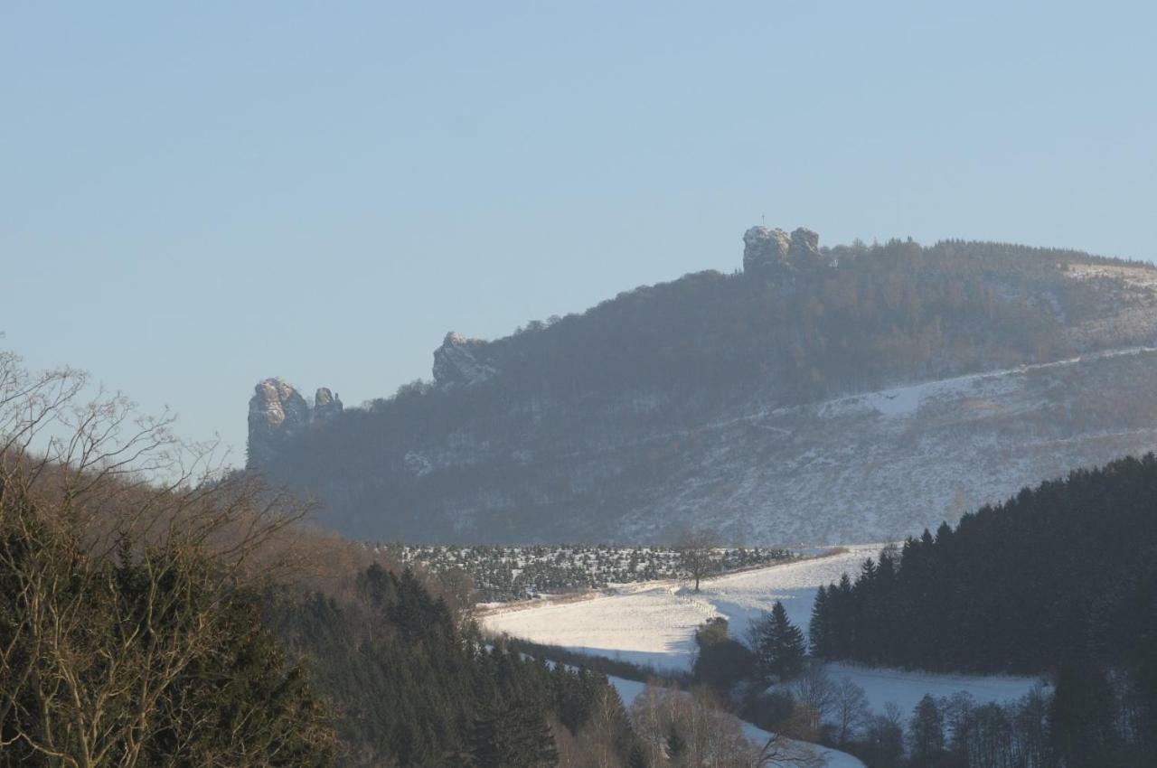 Duempelhof Ferienwohnungen Olsberg Esterno foto
