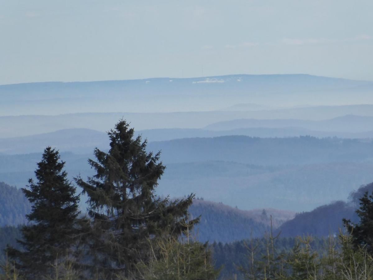 Duempelhof Ferienwohnungen Olsberg Esterno foto